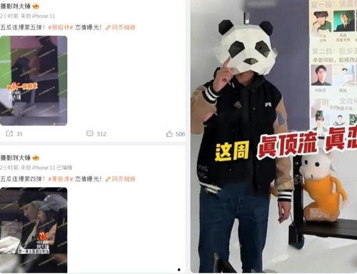 内娱狗仔刘大锤最新爆料,独家揭秘娱乐圈不为人知的一面