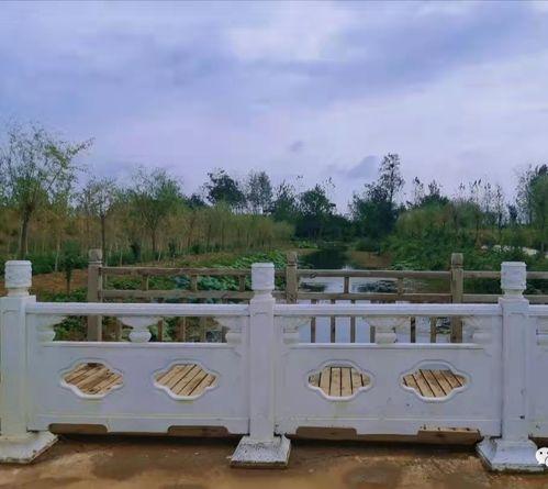 郑州保和寨最新爆料,揭秘神秘事件背后的真相